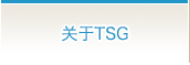 关于TSG